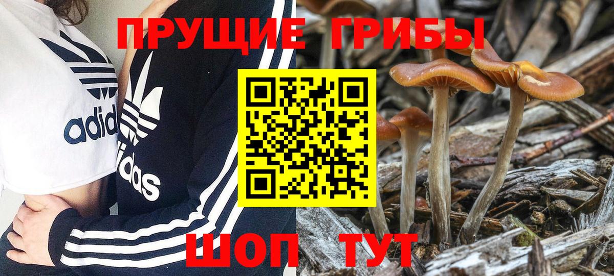 Галлюциногенные грибы мицелий  Вход с VPN  Дмитров 