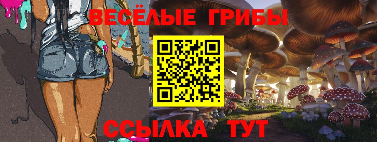 Псилоцибиновые грибы GOLDEN TEACHER Дмитров